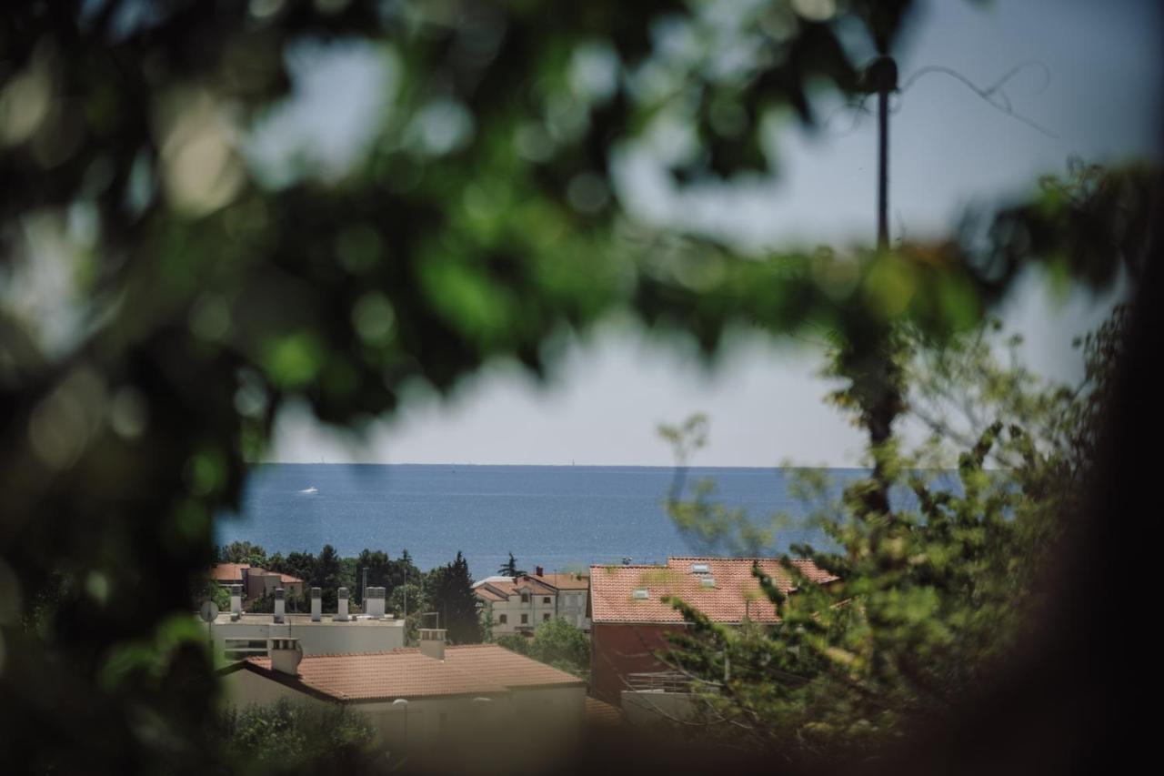 Belvedere Holidays Novigrad Istria Buitenkant foto